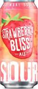 Connecticut Valley Brewing - Strawberry Bliss 0 (415)