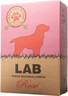 Casa Santos Lima - Lab Rose (3000)