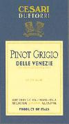 Due Torri - Pinot Grigio Friuli (750ml) (750ml)