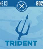 902 Brewing - Trident 0 (415)